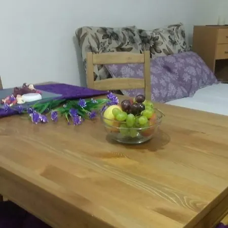 Apartament City Garden 64 *
